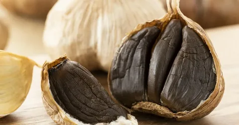 تصویر 1 از سیر سیاه خشک شده پودر شده برای آشپزی حرفه‌ ای